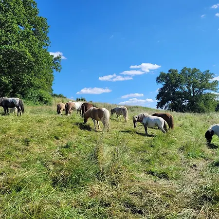 Vakantiehuis La Garenciere - La Petite Maison Champfleur (Sarthe)