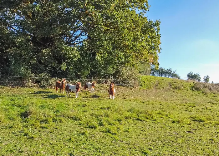 La Garenciere - La Petite Maison Prázdninový dům Champfleur (Sarthe)